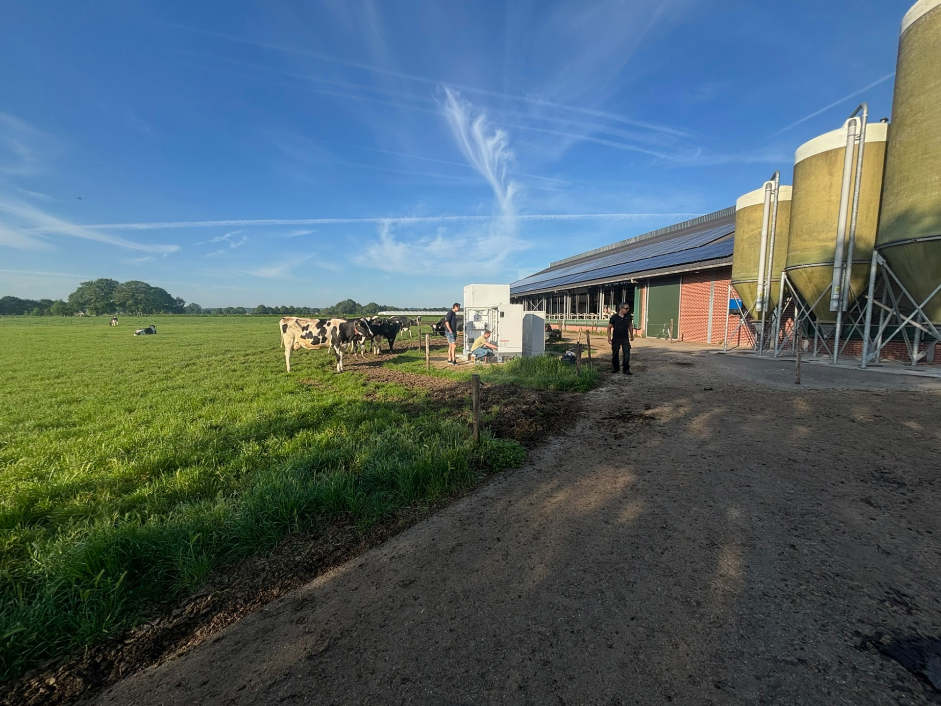 Koeien in de wei naast een stal met zonnepanelen en batterijopslag