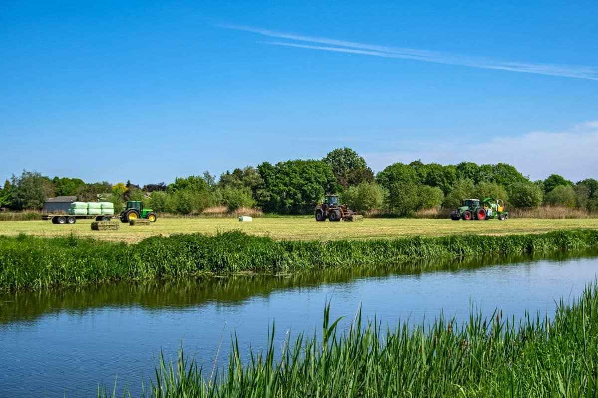 Pluimveebedrijf met zonnepanelen op de staldaken