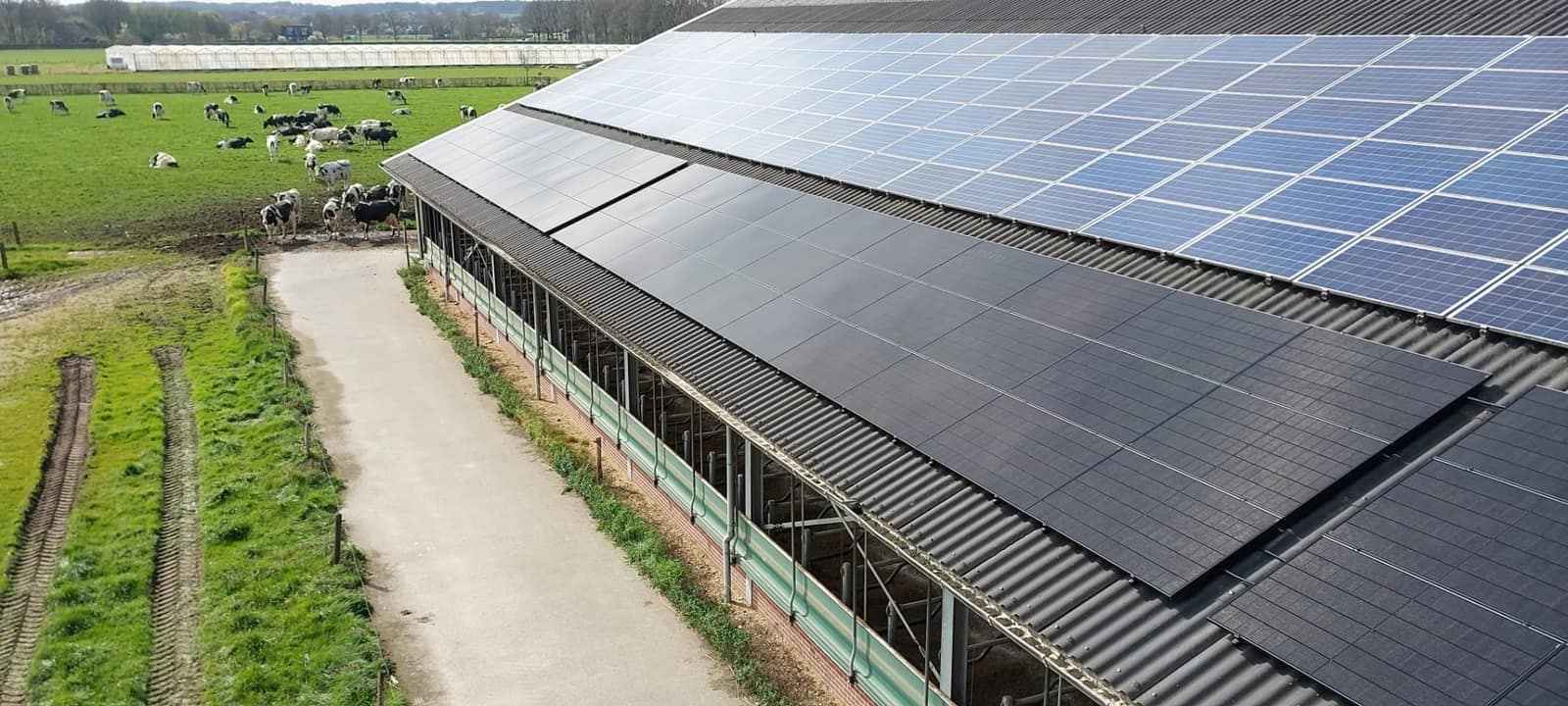 Zonnepanelen op een staldak in Salland